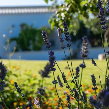 Masseria Petratrullo Pensión *