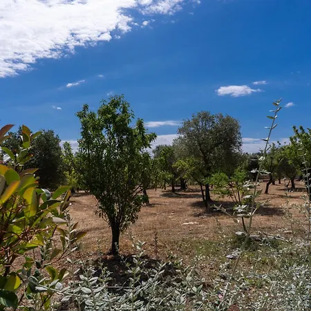 Masseria Petratrullo Πανσιόν Ostuni