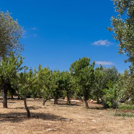 Masseria Petratrullo Πανσιόν Ostuni