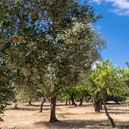 Πανσιόν Masseria Petratrullo
